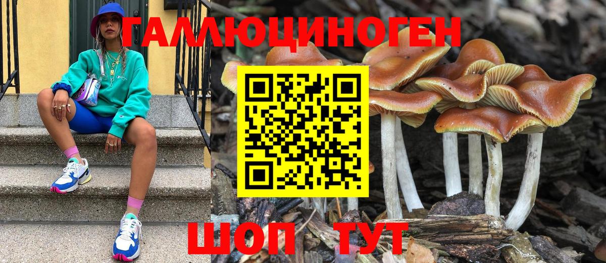 где можно купить   Галлюциногенные грибы Cubensis  Вход с VPN  Псилоцибиновые грибы ЛСД  Ликино-Дулёво 